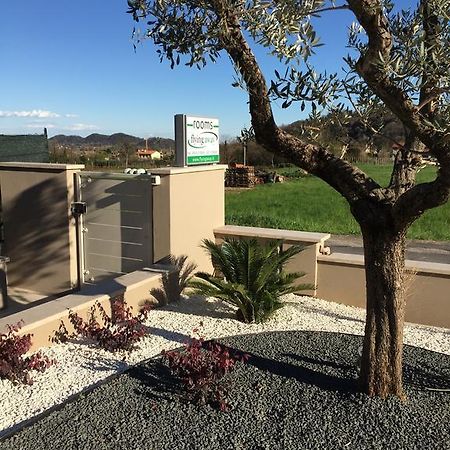Flyingaway Bed & Breakfast Borso del Grappa Exterior foto